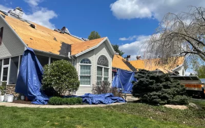 Exciting Roof Transformation